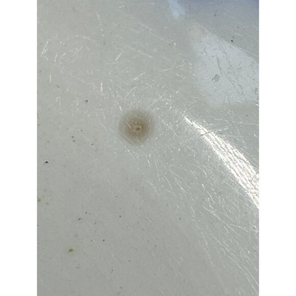 Antique Blue Flow Lancaster New Wharf Pottery 1891 Round Serving Dish England - Picture 7 of 8